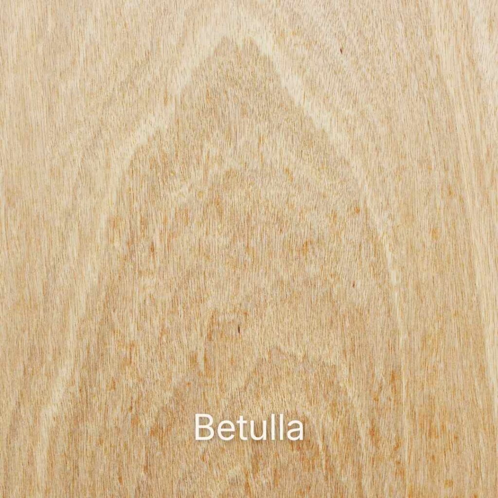 Legno di betulla