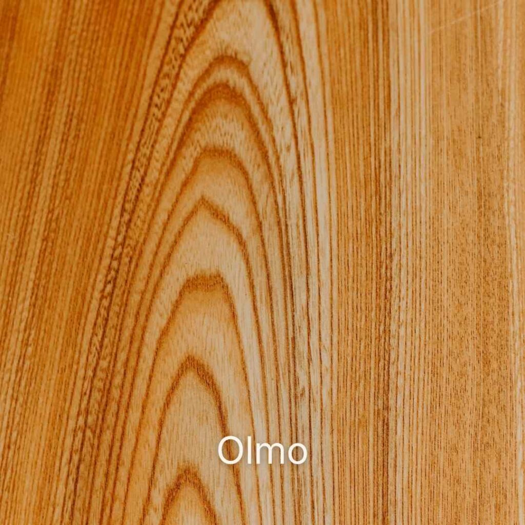Legno di olmo