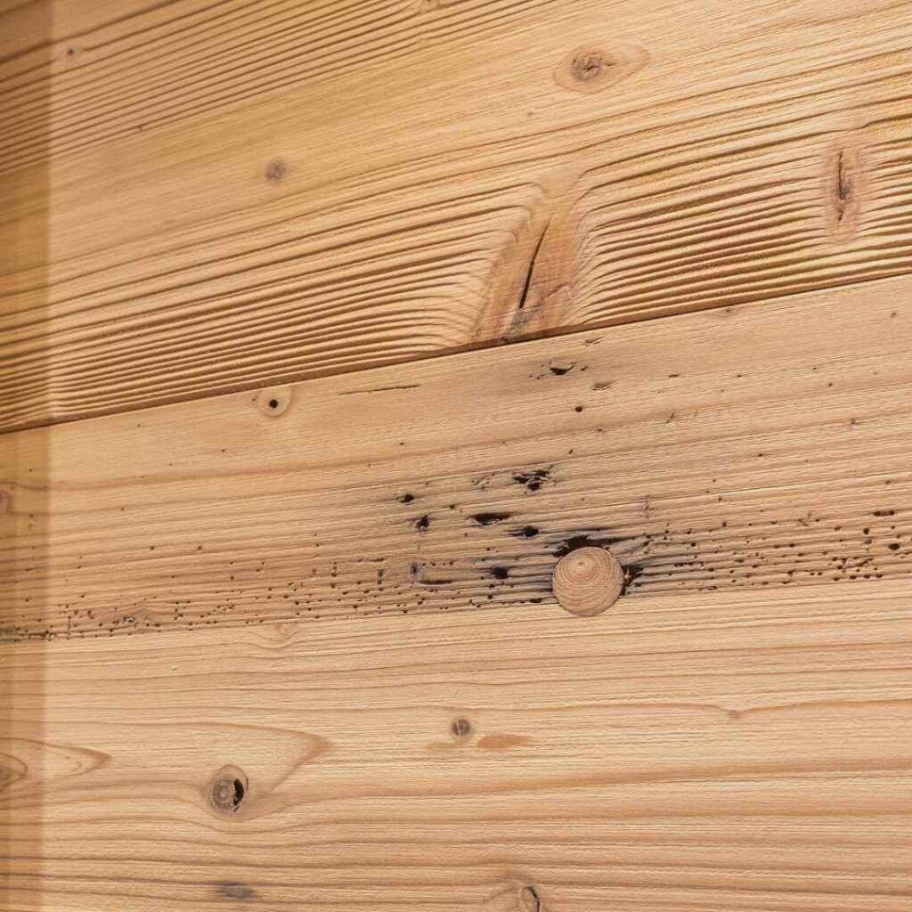 Stuccatura fessure di legno vecchio con stucco legno nero